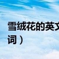 雪绒花的英文版歌词教唱（雪绒花的英文版歌词）
