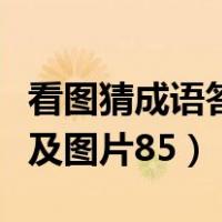 看图猜成语答案及图片四马（看图猜成语答案及图片85）