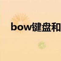 bow键盘和罗技键盘哪个好（bow键盘）