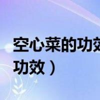 空心菜的功效与作用及副作用禁忌（空心菜的功效）