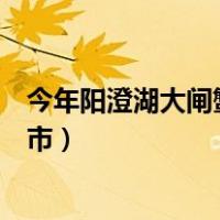 今年阳澄湖大闸蟹什么时候上市（阳澄湖大闸蟹什么时候上市）