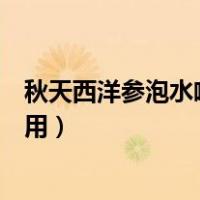 秋天西洋参泡水喝的功效与作用（西洋参泡水喝的功效与作用）