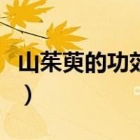 山茱萸的功效与作用百度百科（山茱萸的功效）