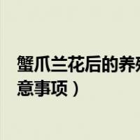 蟹爪兰花后的养殖方法和注意事项（蟹爪花的养殖方法和注意事项）