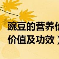豌豆的营养价值及功效君卡蚕豆（豌豆的营养价值及功效）