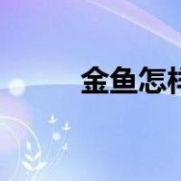 金鱼怎样养好（金鱼怎么养最好）