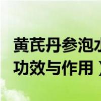 黄芪丹参泡水喝的功效与作用（丹参泡水喝的功效与作用）
