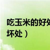 吃玉米的好处和坏处有哪些（吃玉米的好处和坏处）