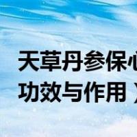 天草丹参保心茶的功效与作用（丹参保心茶的功效与作用）