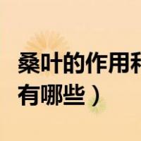 桑叶的作用和功效与作用（桑叶的作用与功效有哪些）