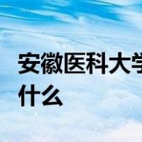 安徽医科大学继续教育学院官网登录用户名是什么