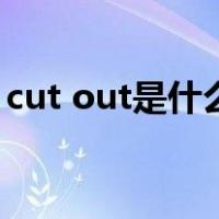 cut out是什么意思啊（cut out是什么意思）