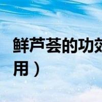 鲜芦荟的功效与作用禁忌（鲜芦荟的功效与作用）