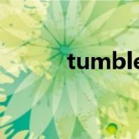 tumbler是什么意思（tumble）