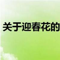 关于迎春花的诗句七绝（关于迎春花的诗句）
