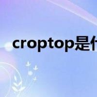 croptop是什么意思（p to p是什么意思）