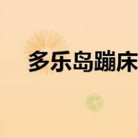 多乐岛蹦床公园作文（多乐岛蹦床公园）