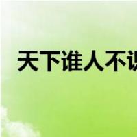 天下谁人不识君的作者（天下何人不识君）