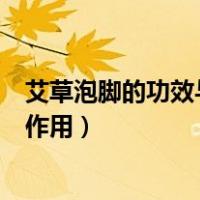 艾草泡脚的功效与作用禁忌能天天泡吗（艾草泡脚的功效与作用）