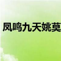 凤鸣九天姚莫婉和夜鸿弈（凤鸣九天姚莫婉）