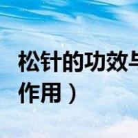松针的功效与作用禁忌和用量（松针的功效与作用）