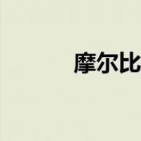摩尔比等于质量比吗（摩尔比）