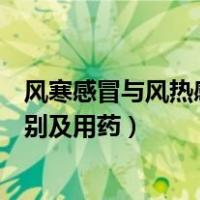 风寒感冒与风热感冒区别和用药（风寒感冒和风热感冒的区别及用药）