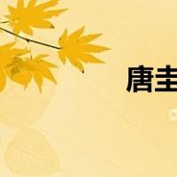 唐圭璋简介（唐圭璋pdf）