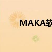 MAKA软件特色功能（maka软件）