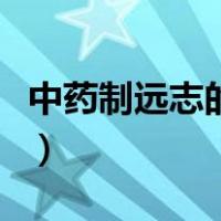 中药制远志的作用与功效（远志的作用与功效）