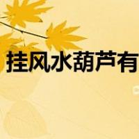 挂风水葫芦有什么讲究（挂葫芦的风水讲究）