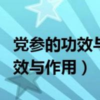 党参的功效与作用禁忌及食用方法（党参的功效与作用）