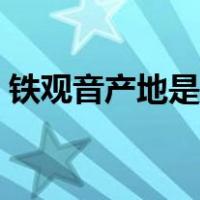 铁观音产地是哪个地方（铁观音产地是哪里）
