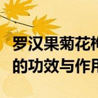 罗汉果菊花枸杞茶的功效与作用（菊花枸杞茶的功效与作用）