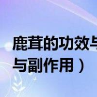 鹿茸的功效与副作用三九药品通（鹿茸的功效与副作用）