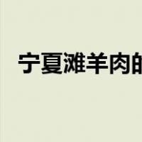 宁夏滩羊肉的营养价值（羊肉的营养价值）