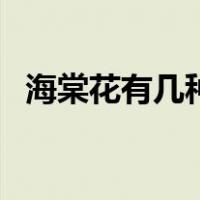 海棠花有几种类型（海棠花的种类有哪些）
