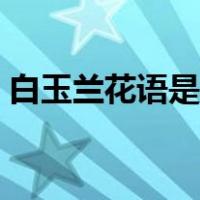 白玉兰花语是什么含义（白玉兰花语是什么）