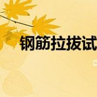 钢筋拉拔试验检测数量（钢筋拉拔试验）