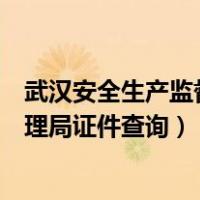武汉安全生产监督管理局证件查询（湖北省安全生产监督管理局证件查询）