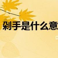 剁手是什么意思网络用语（剁手是什么意思）