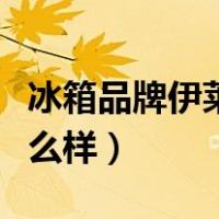 冰箱品牌伊莱克斯评价（伊莱克斯冰箱质量怎么样）