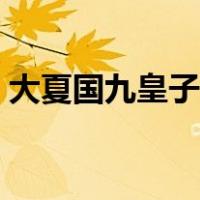 大夏国九皇子夏天的小说在线阅读（大夏国）