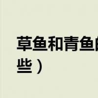 草鱼和青鱼的区别?（青鱼和草鱼的区别有哪些）