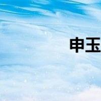 申玉菲的主是谁（申玉菲）