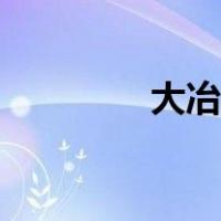 大冶县志电子版（大冶县）