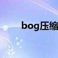 bog压缩机什么意思（bog压缩机）