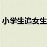 小学生追女生的方法（小学追女孩子的方法）