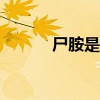 尸胺是什么意思（什么是尸胺）