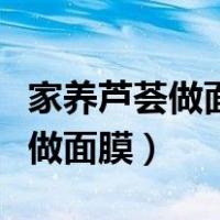 家养芦荟做面膜可以敷眼部吗（家养芦荟怎么做面膜）